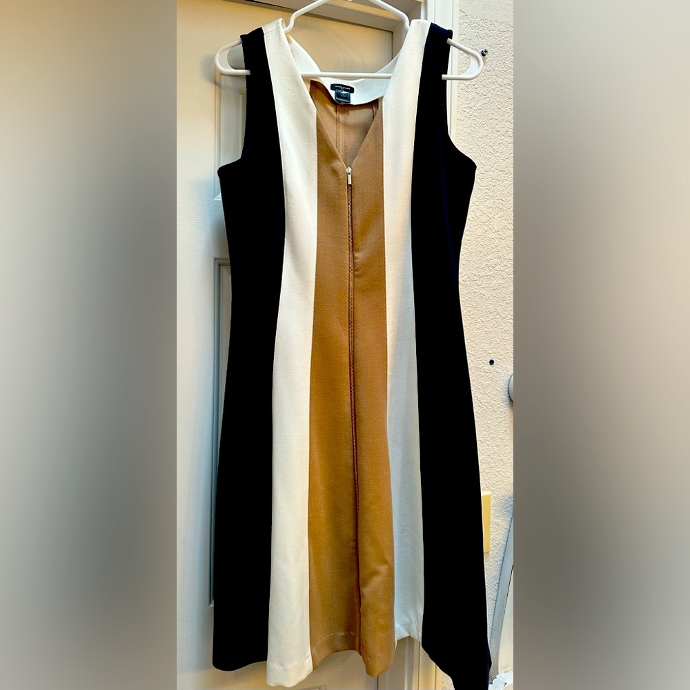 Beautiful Anne Taylor zip front dress